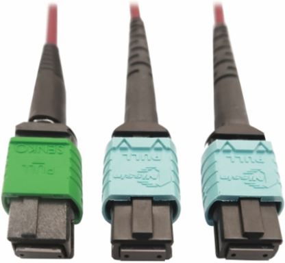 Fiber Optic Cable, 400G Multimode OM4, 16F MTP/MPO-APC to (x2) 12F MTP/MPO-UPC (F/F), Magenta, 1 m