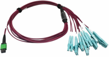 Fiber Optic Breakout, 400G Multimode OM4, 16F MTP/MPO-APC to (x4) LC Duplex (F/M), Magenta, 1 m
