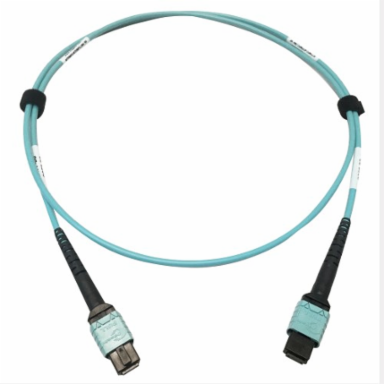 Fiber Optic Cable, 400G Multimode OM4, 24F MTP/MPO-PC (F/F), Plenum, Aqua, 1 m