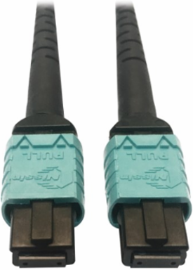 Fiber Optic Cable, 400G Multimode OM4, 24F MTP/MPO-PC (F/F), Plenum, Aqua, 1 m