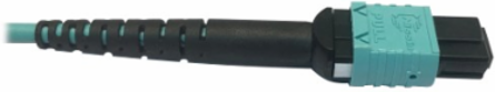 Fiber Optic Cable, 400G Multimode OM4, 24F MTP/MPO-PC (F/F), Plenum, Aqua, 1 m