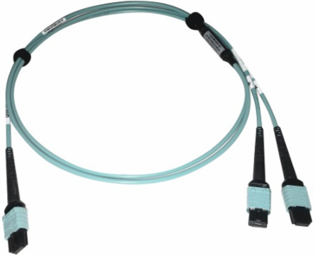 Fiber Optic Cable, 400G Multimode OM4, 24F MTP/MPO-PC to (x2) 12F MTP/MPO-PC (F/F), Aqua, 1 m