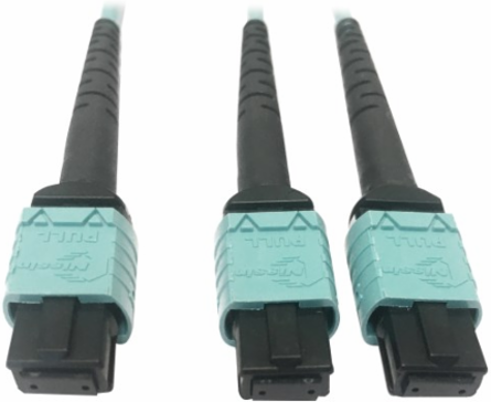 Fiber Optic Cable, 400G Multimode OM4, 24F MTP/MPO-PC to (x2) 12F MTP/MPO-PC (F/F), Aqua, 1 m
