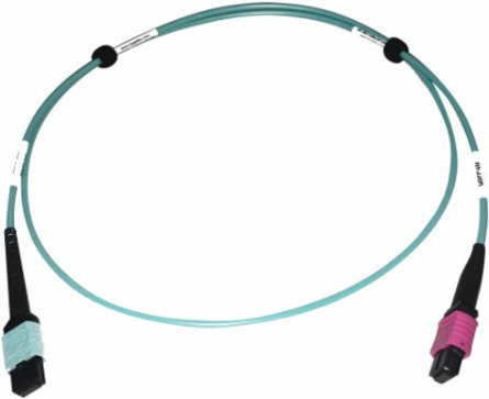 Fiber Optic Cable, 400G Multimode OM4, 24F MTP/MPO-UPC to 16F MTP/MPO-UPC (F/F), Plenum, Aqua, 1 m