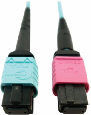 Fiber Optic Cable, 400G Multimode OM4, 24F MTP/MPO-UPC to 16F MTP/MPO-UPC (F/F), Plenum, Aqua, 1 m