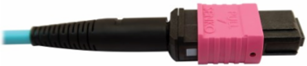 Fiber Optic Cable, 400G Multimode OM4, 24F MTP/MPO-UPC to 16F MTP/MPO-UPC (F/F), Plenum, Aqua, 1 m