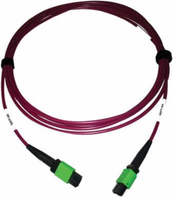 Fiber Optic Cable, 400G Multimode OM4, 16F MTP/MPO-APC (F/F), Plenum, Magenta, 3 m