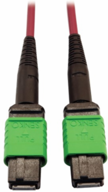 Fiber Optic Cable, 400G Multimode OM4, 16F MTP/MPO-APC (F/F), Plenum, Magenta, 3 m