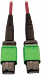 Fiber Optic Cable, 400G Multimode OM4, 16F MTP/MPO-APC (F/F), Plenum, Magenta, 3 m