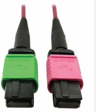 Fiber Optic Cable, 400G Multimode OM4, 16F MTP/MPO-APC to MTP/MPO-UPC (F/F), Plenum, Magenta, 3 m