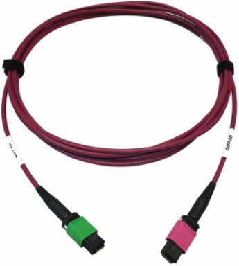 Fiber Optic Cable, 400G Multimode OM4, 16F MTP/MPO-APC to MTP/MPO-UPC (F/F), Plenum, Magenta, 3 m