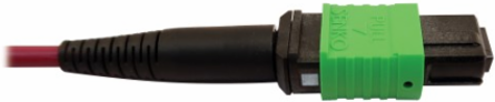 Fiber Optic Cable, 400G Multimode OM4, 16F MTP/MPO-APC to MTP/MPO-UPC (F/F), Plenum, Magenta, 3 m