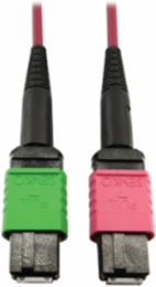 Fiber Optic Cable, 400G Multimode OM4, 16F MTP/MPO-APC to MTP/MPO-UPC (F/F), Plenum, Magenta, 3 m