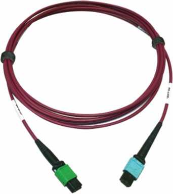 Fiber Optic Cable, 400G Multimode OM4, 16F MTP/MPO-APC to 24F MTP/MPO-UPC (F/F), Magenta, 3 m