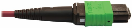 Fiber Optic Cable, 400G Multimode OM4, 16F MTP/MPO-APC to 24F MTP/MPO-UPC (F/F), Magenta, 3 m