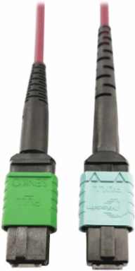 Fiber Optic Cable, 400G Multimode OM4, 16F MTP/MPO-APC to 24F MTP/MPO-UPC (F/F), Magenta, 3 m