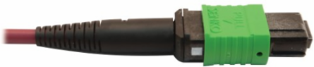 Fiber Optic Cable, 400G Multimode OM4, 16F MTP/MPO-APC to (x2) 12F MTP/MPO-UPC (F/F), Magenta, 3 m