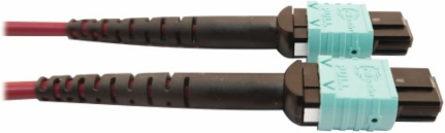 Fiber Optic Cable, 400G Multimode OM4, 16F MTP/MPO-APC to (x2) 12F MTP/MPO-UPC (F/F), Magenta, 3 m