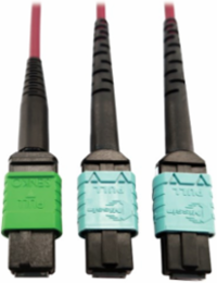 Fiber Optic Cable, 400G Multimode OM4, 16F MTP/MPO-APC to (x2) 12F MTP/MPO-UPC (F/F), Magenta, 3 m
