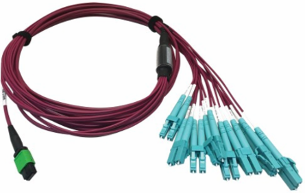 Fiber Optic Breakout, 400G Multimode OM4, 16F MTP/MPO-APC to (x4) LC Duplex (F/M), Magenta, 3 m