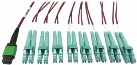 Fiber Optic Breakout, 400G Multimode OM4, 16F MTP/MPO-APC to (x4) LC Duplex (F/M), Magenta, 3 m