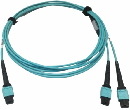 Fiber Optic Cable, 400G Multimode OM4, 24F MTP/MPO-PC to (x2) 12F MTP/MPO-PC (F/F), Aqua, 3 m