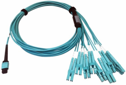 Fiber Optic Breakout, 400G Multimode OM4, 24F MTP/MPO-PC to (x4) LC Duplex (F/M), Plenum, Aqua, 3 m