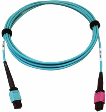 Fiber Optic Cable, 400G Multimode OM4, 24F MTP/MPO-UPC to 16F MTP/MPO-UPC (F/F), Plenum, Aqua, 3 m