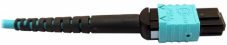 Fiber Optic Cable, 400G Multimode OM4, 24F MTP/MPO-UPC to 16F MTP/MPO-UPC (F/F), Plenum, Aqua, 3 m