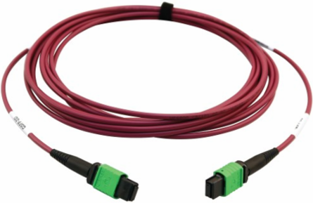 Fiber Optic Cable, 400G Multimode OM4, 16F MTP/MPO-APC (F/F), Plenum, Magenta, 5 m
