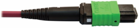 Fiber Optic Cable, 400G Multimode OM4, 16F MTP/MPO-APC (F/F), Plenum, Magenta, 5 m