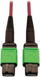 Fiber Optic Cable, 400G Multimode OM4, 16F MTP/MPO-APC (F/F), Plenum, Magenta, 5 m