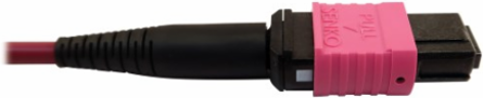 Fiber Optic Cable, 400G Multimode OM4, 16F MTP/MPO-APC to MTP/MPO-UPC (F/F), Plenum, Magenta, 5 m