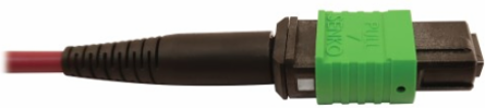 Fiber Optic Cable, 400G Multimode OM4, 16F MTP/MPO-APC to MTP/MPO-UPC (F/F), Plenum, Magenta, 5 m