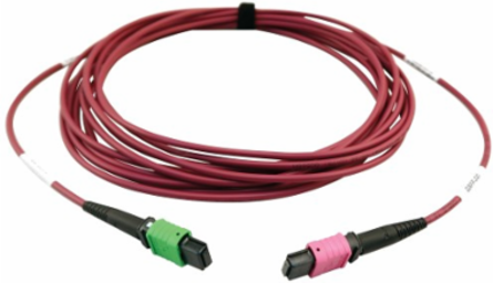 Fiber Optic Cable, 400G Multimode OM4, 16F MTP/MPO-APC to MTP/MPO-UPC (F/F), Plenum, Magenta, 5 m