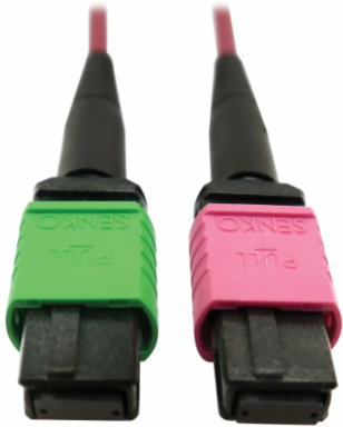 Fiber Optic Cable, 400G Multimode OM4, 16F MTP/MPO-APC to MTP/MPO-UPC (F/F), Plenum, Magenta, 5 m