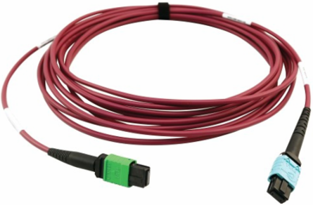 Fiber Optic Cable, 400G Multimode OM4, 16F MTP/MPO-APC to 24F MTP/MPO-UPC (F/F), Magenta, 5 m