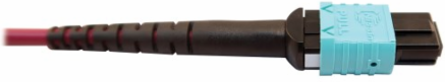 Fiber Optic Cable, 400G Multimode OM4, 16F MTP/MPO-APC to 24F MTP/MPO-UPC (F/F), Magenta, 5 m
