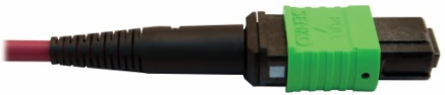 Fiber Optic Cable, 400G Multimode OM4, 16F MTP/MPO-APC to 24F MTP/MPO-UPC (F/F), Magenta, 5 m