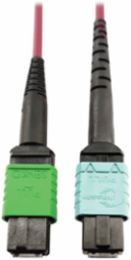 Fiber Optic Cable, 400G Multimode OM4, 16F MTP/MPO-APC to 24F MTP/MPO-UPC (F/F), Magenta, 5 m