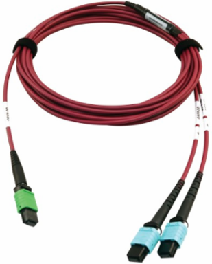 Fiber Optic Cable, 400G Multimode OM4, 16F MTP/MPO-APC to (x2) 12F MTP/MPO-UPC (F/F), Magenta, 5 m