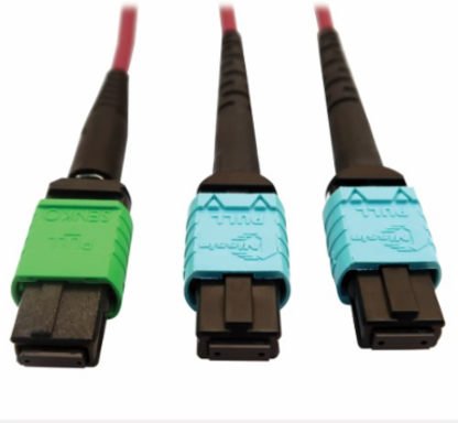 Fiber Optic Cable, 400G Multimode OM4, 16F MTP/MPO-APC to (x2) 12F MTP/MPO-UPC (F/F), Magenta, 5 m