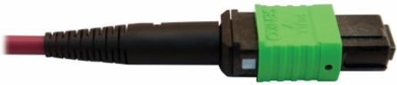 Fiber Optic Cable, 400G Multimode OM4, 16F MTP/MPO-APC to (x2) 12F MTP/MPO-UPC (F/F), Magenta, 5 m
