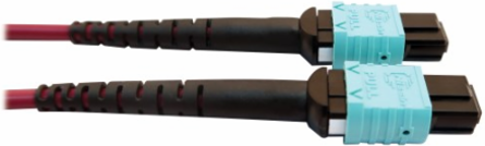 Fiber Optic Cable, 400G Multimode OM4, 16F MTP/MPO-APC to (x2) 12F MTP/MPO-UPC (F/F), Magenta, 5 m