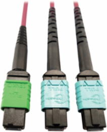 Fiber Optic Cable, 400G Multimode OM4, 16F MTP/MPO-APC to (x2) 12F MTP/MPO-UPC (F/F), Magenta, 5 m
