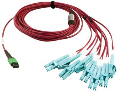 Fiber Optic Breakout, 400G Multimode OM4, 16F MTP/MPO-APC to (x4) LC Duplex (F/M), Magenta, 5 m