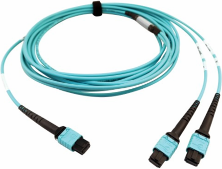 Fiber Optic Cable, 400G Multimode OM4, 24F MTP/MPO-PC to (x2) 12F MTP/MPO-PC (F/F), Aqua, 5 m