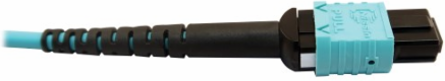 Fiber Optic Breakout Cable, 400G Multimode OM4 Plenum, 24F MTP/MPO-PC to (x4) LC Duplex, Aqua, 5 m