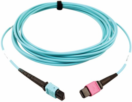 Fiber Optic Cable, 400G Multimode OM4 Plenum, 24F MTP/MPO-UPC to 16F MTP/MPO-UPC (F/F), Aqua, 5 m