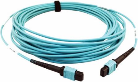 Fiber Optic Cable, 400G Multimode OM4 Plenum-Rated, 24F MTP/MPO-PC (F/F), Aqua, 10 m